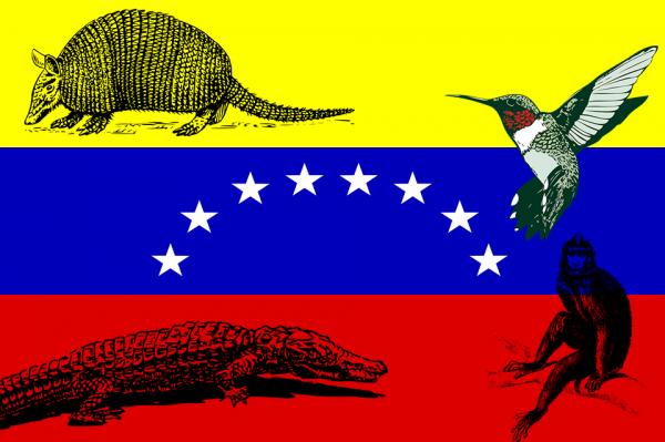 10 elainta jotka ovat vaarassa kuolla sukupuuttoon Venezuelassa