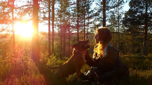 Kuinka kosteuttaa koirani ihoa - rajoita hänen altistumista auringolle