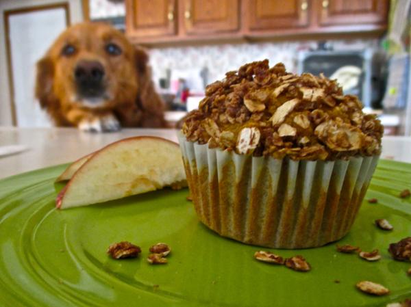 4 koiran cupcake -reseptiä - Apple Oatmeal Dog Cupcakes