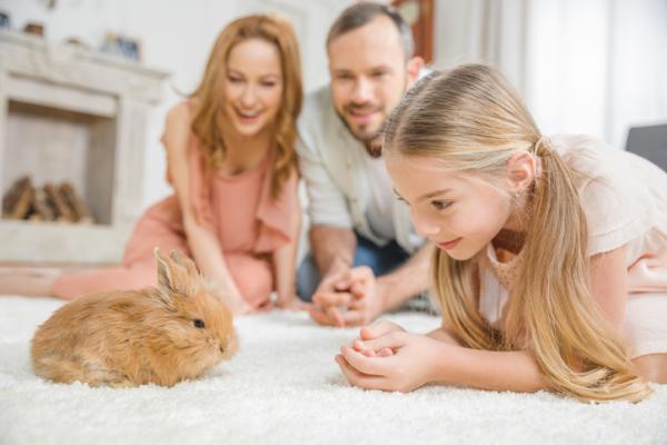 Kuinka tehdä kanista hellä?  - Kuinka saada kanini rakastamaan minua?