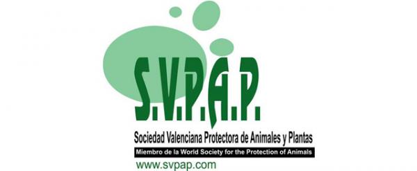 Mistä voin ottaa koiran Valenciaan - SVPAP Valencian Society for the Protection of Animal and Plants 