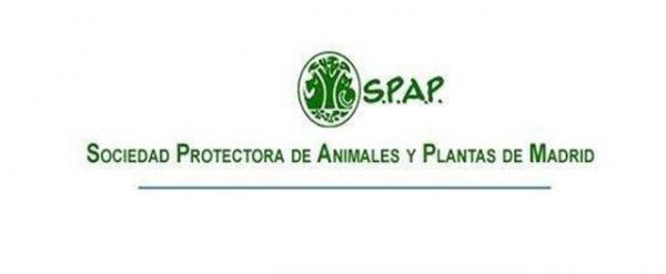 Mistä voin ottaa koiran Madridiin - SPAP Sociedad Protectora de Animales y Plantas