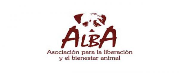 Mistä voin ottaa koiran Madridiin - ALBA Association for Animal Liberation and Welfare