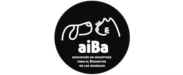 Mistä voin ottaa koiran Madridiin - aiBa Association of Initiatives for Animal Welfare?