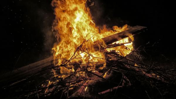 Kuinka selviytyä karhun hyökkäyksestä?  - Leiri