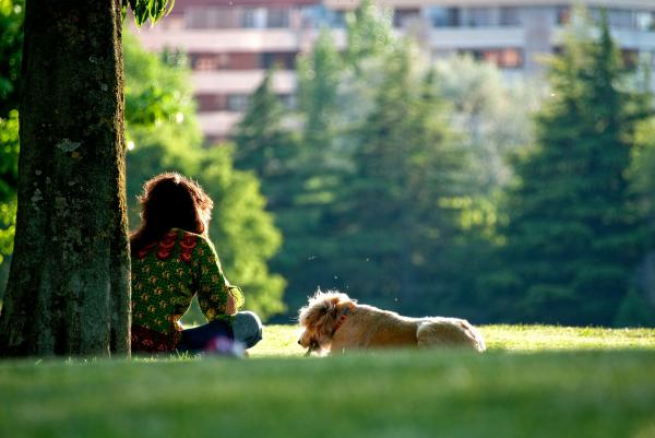 Kuinka kouluttaa koiraa 10 vaiheessa - 3. Kouluta koiraasi oppimaan tunnistamaan hänen nimensä