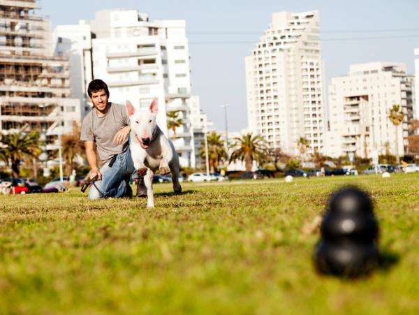 Opeta koirani hakemaan pallo askel askeleelta - Vaihe 3