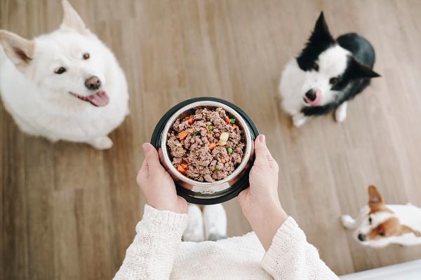 Onko hyvä yhdistää rehu kotitekoiseen ruokaan?  - Miten päästä rehusta kotitekoiseen ruokaan?