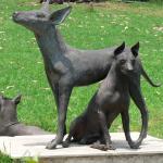 1629520640 213 Xoloitzcuintle