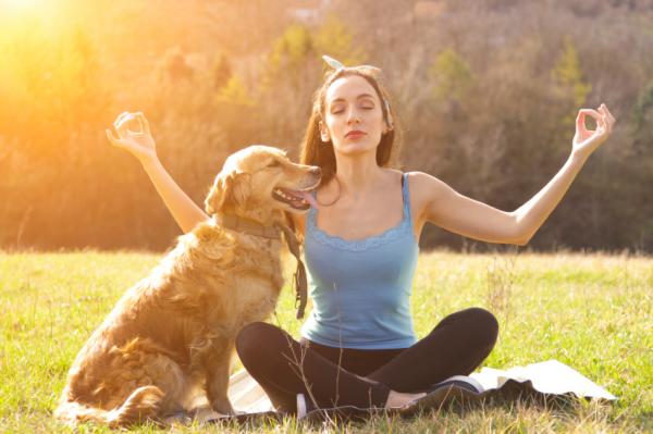 10 merkkiä stressistä koirassasi - kuinka auttaa stressaantunutta koiraa