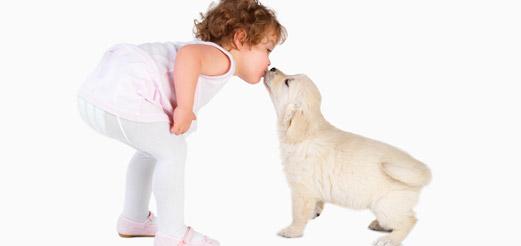 Vältä mustasukkaisuutta lasten ja koirien välillä - Lapsen kasvu koiran kanssa