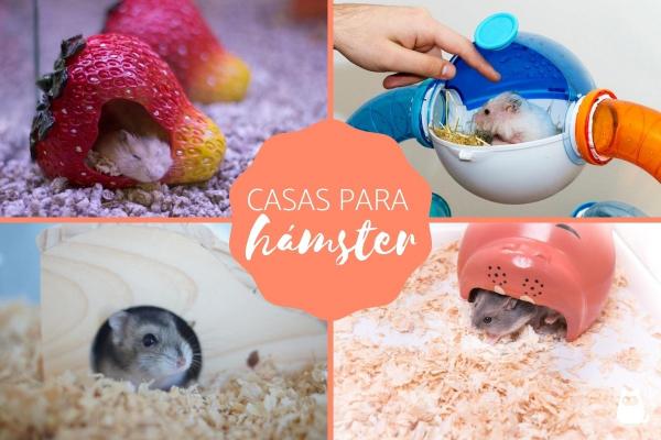 Hamsteritalot tyypit ja suositukset