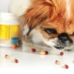 K vitamiini koirille annostus ja kayttotavat