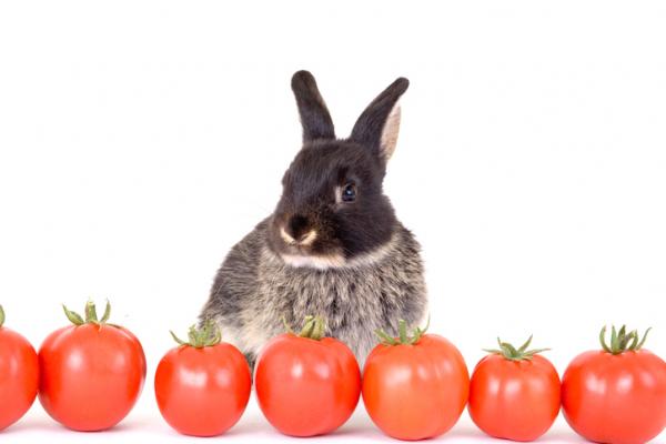 Voivatko kanit syoda tomaattia