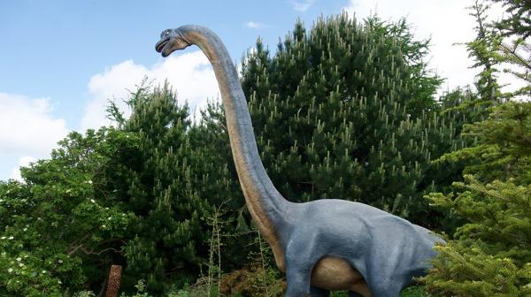 Pitkäkaulaiset dinosaurukset - ominaisuudet ja esimerkit - Brachiosaurus