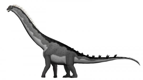 Pitkäkaulaiset dinosaurukset - ominaisuudet ja esimerkit - Alamosaurus
