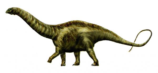 Pitkäkaulaiset dinosaurukset - ominaisuudet ja esimerkit - Apatosaurus
