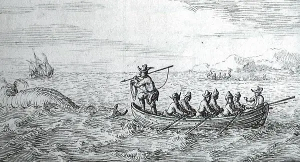 Ovatko miekkavalat tappajia?  - 1700 -luvun espanjalaiset valaanpyytäjät