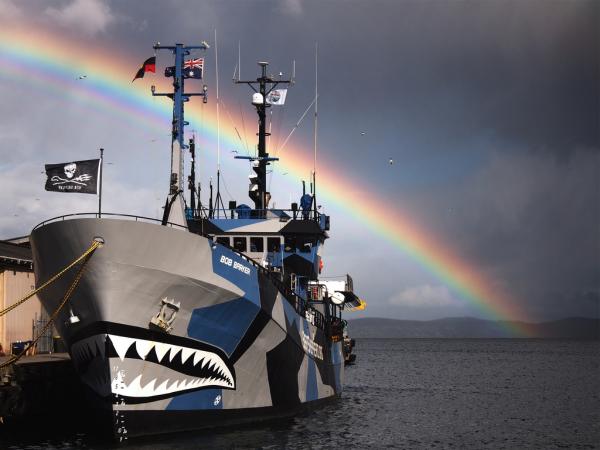 Kuinka ryhtyä vapaaehtoiseksi Sea Shepherdiksi?  - Ole meren vapaaehtoinen