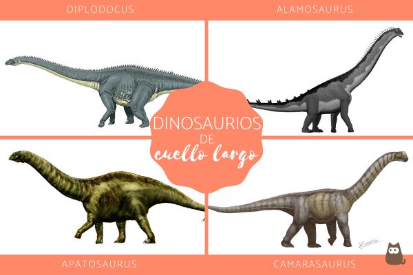 Pitkakaulaiset dinosaurukset ominaisuudet ja esimerkit