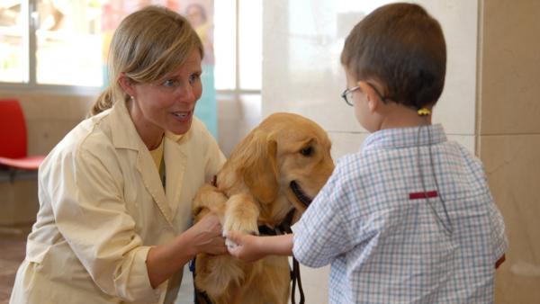 Koirahoito autistisille lapsille - Miksi koirahoito autistisille lapsille on suositeltavaa?