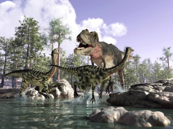 Miten dinosaurukset lisääntyvät ja syntyvät?  - Dinosaurusten elämäntapa