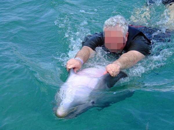 10 uteliaisuutta delfiineistä - 10. Vankeuden vaikutukset delfiineihin