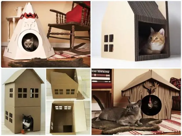 10 erittäin omaperäistä joululahjaa kissoille - 5. Pahvilaatikko