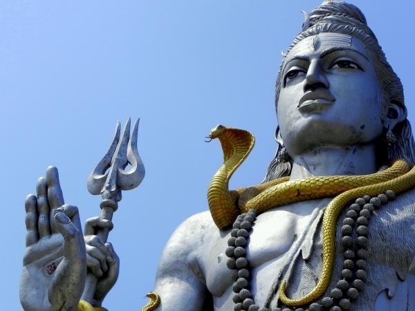 Intian pyhät eläimet - 4. Shivan kobra