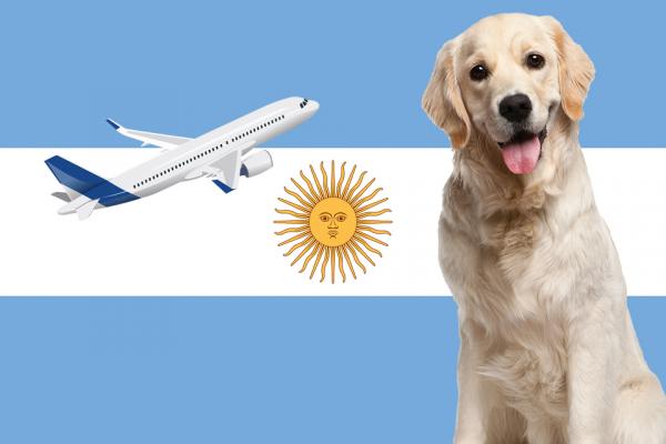 Kayttoaiheet koiran kanssa matkustamiseen Argentiinaan