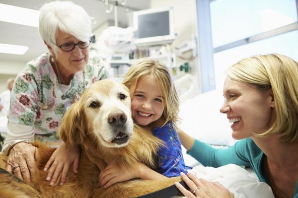 Terapiaa koirille autistisille lapsille