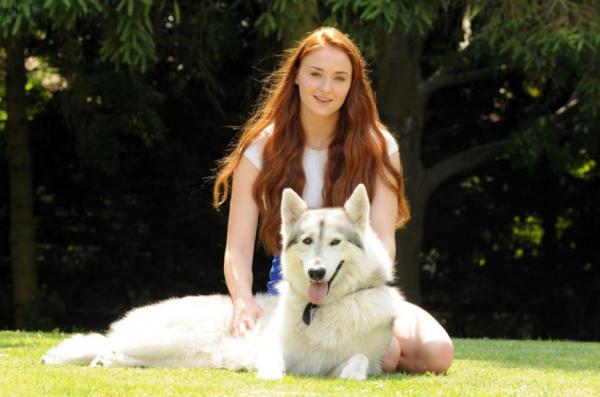 Top 10 koiria adoptoinutta julkkista - 2. Sophie Turner