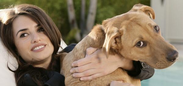 Top 10 julkkikset, jotka ovat adoptoineet koiria - 9. Penelope Cruz