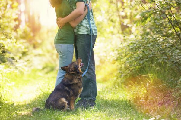 8 asiaa, joita koirasi tietää sinusta - Erottele rakkaus ja viha