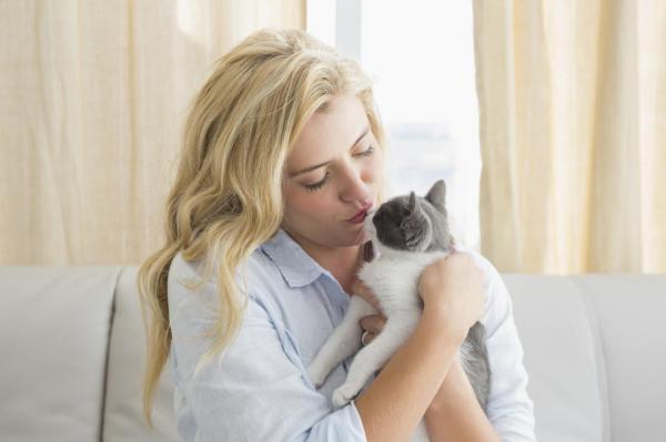 Miksi kissat rakastavat ihmista enemman