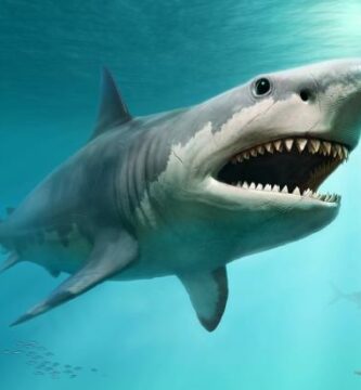 el megalodon existe 25458 600